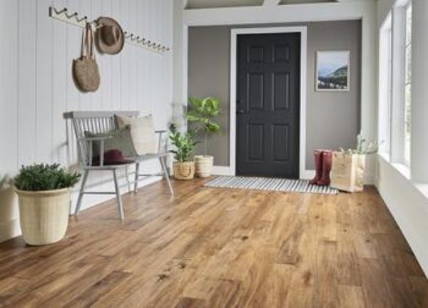 Front door entryway with hardwood flooring